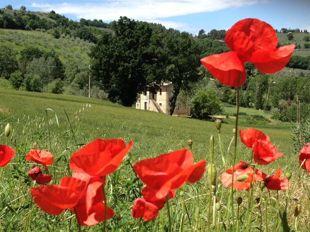 Appartamenti Verde Collina Umbra Bevagna Luaran gambar