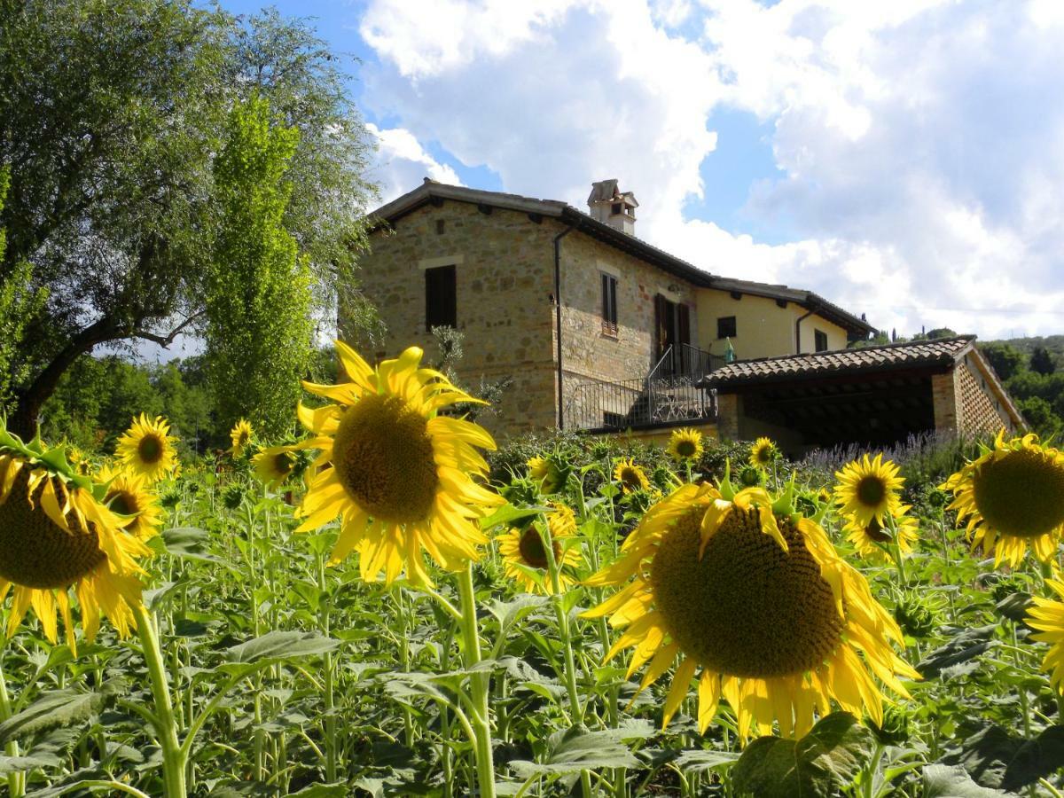 Appartamenti Verde Collina Umbra Bevagna Luaran gambar
