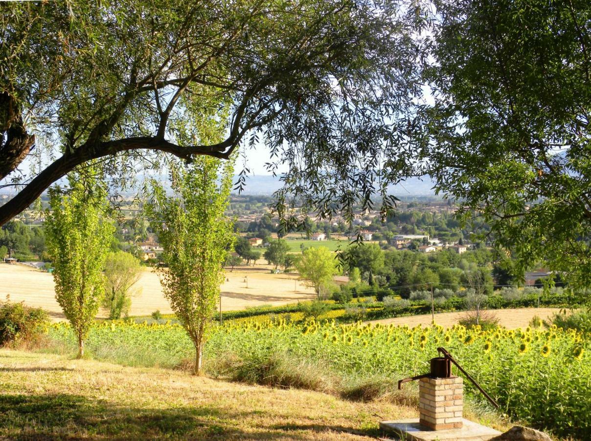 Appartamenti Verde Collina Umbra Bevagna Luaran gambar