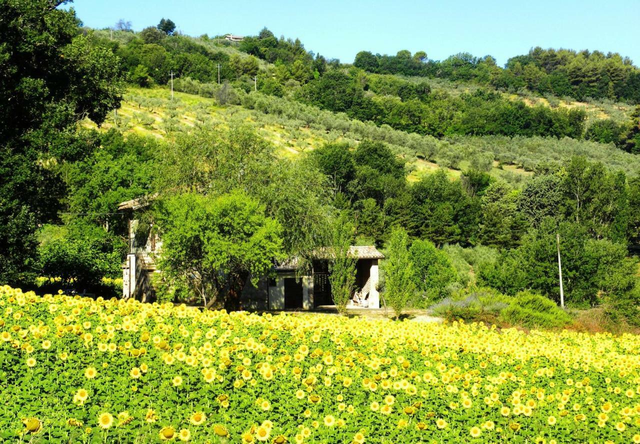 Appartamenti Verde Collina Umbra Bevagna Luaran gambar