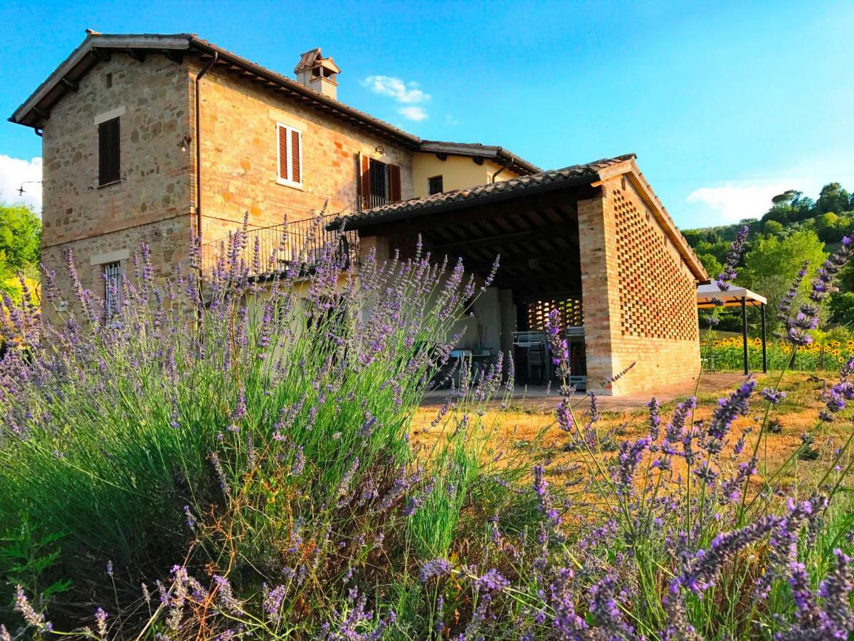 Appartamenti Verde Collina Umbra Bevagna Luaran gambar