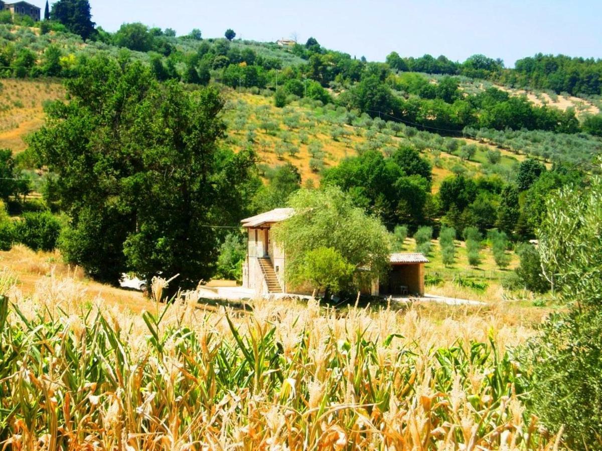 Appartamenti Verde Collina Umbra Bevagna Luaran gambar