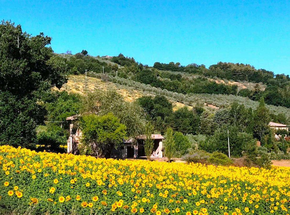 Appartamenti Verde Collina Umbra Bevagna Luaran gambar