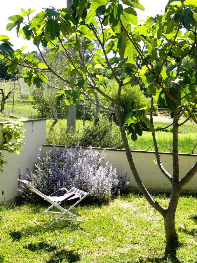 Appartamenti Verde Collina Umbra Bevagna Luaran gambar